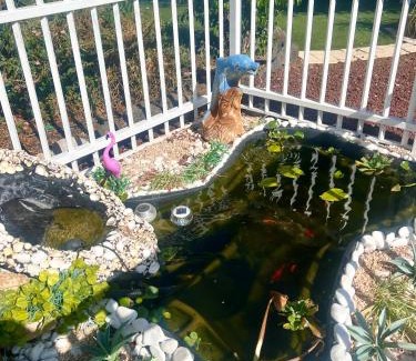 Qiryat Shemona Hotel | Magical in the Galilee