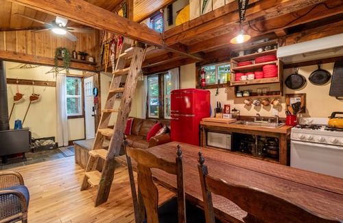 Ashford Cabin | Magical Woodland Retreat just 8 miles from Mount Rainier national Park!