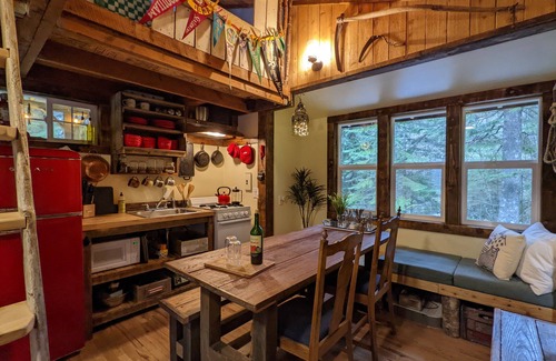 Ashford Cabin | Magical Woodland Retreat just 8 miles from Mount Rainier national Park!