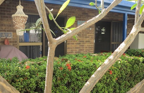 Arcadia Apartment | Magnetic Shores Unit 3 - Delightful tropical getaway across the road to beautiful Alma Bay