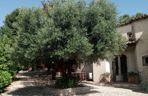Vauvert Villa | Magnificent villa with heated pool, breathtaking view amid olive trees.
