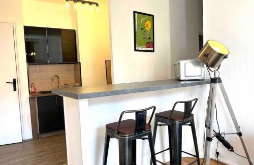 Vienne Apartment | Magnifique T2 place de la cathédrale et passerelle