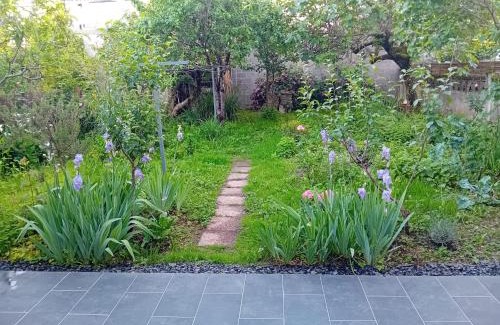 Brive-la-Gaillarde Apartment | Maison Alfred