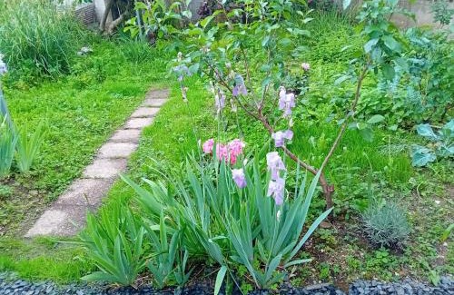 Brive-la-Gaillarde Apartment | Maison Alfred