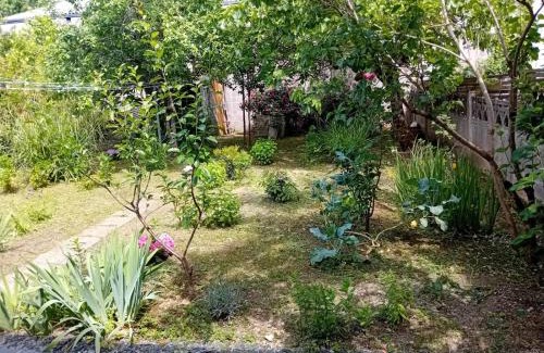 Brive-la-Gaillarde Apartment | Maison Alfred