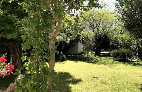 Avignon Villa | Maison de caractère avec jardin arboré en Avignon