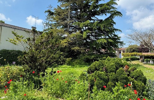 Lucon House | Maison de Plein Pied, Dans un Jardin Arboré, au Calme, en Plein Centre-ville