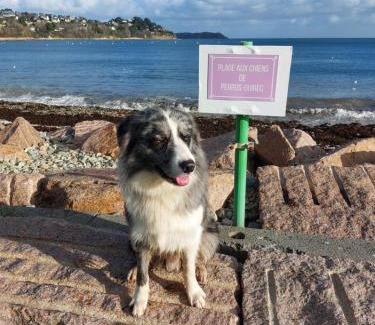 Perros-Guirec Apartment | Maison de village au Linkin
