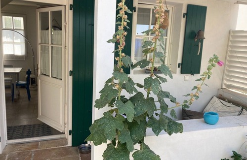 Loix House | Maison de Village Réthaise