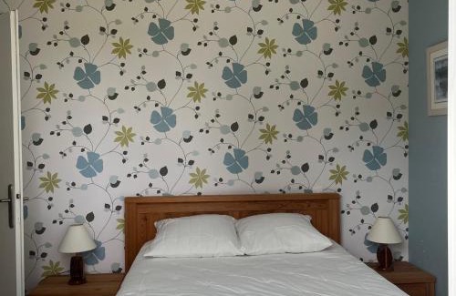 Locmaria House | Maison indépendante avec jardin près de la plage - FR-1-418-231