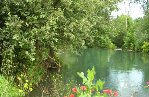 L'Isle-sur-la-Sorgue House | maison près de l'eau