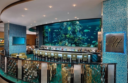 Downtown Las Vegas Hotel | Making The Best Memories Along The Way! Nightly Entertainment!