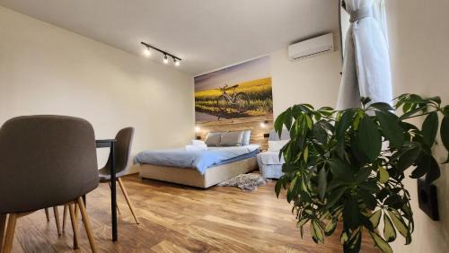 Ruse Center Apartment | Malavi TN1 top center studio Ruse
