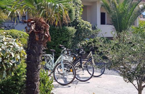 Barbat na Rabu Apartment | Mande 1