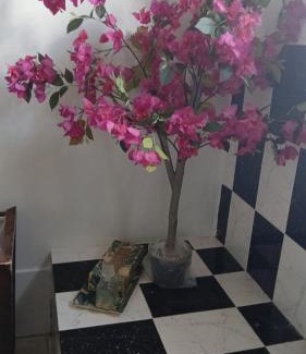 Mandeville Apartment | Mandeville Chateau