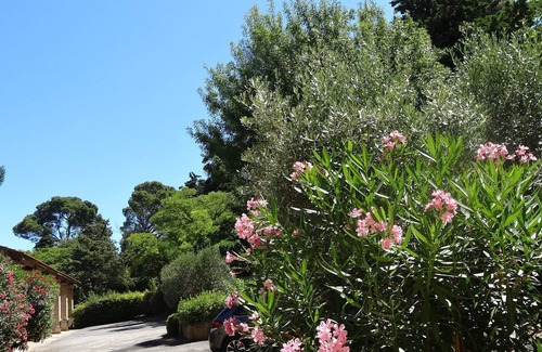 Narbonne House | Mansion In the shade of the big trees of the park, great comfort