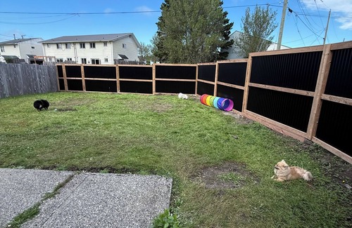 Masset House | Maple House