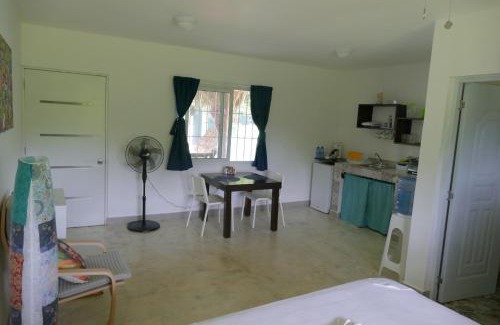 Samana Apartment | Mar Azul, Las Galeras