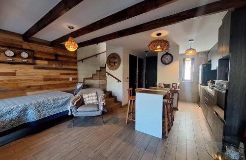 Nunoa House | Maravillosa esplendida casa en ñuñoa