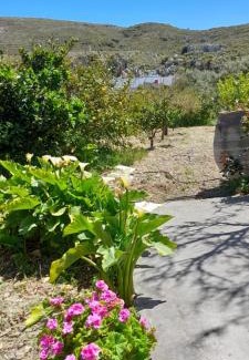 Platanos Apartment | Margarita's Stone House