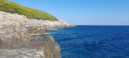 Mljet Apartment | Marijana - One bedroom with balcony