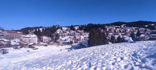 Smolyan Apartment | Marina apartment