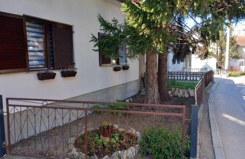 Mali Radic Apartment | Mario