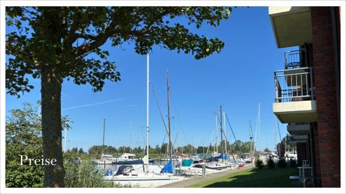 Ueckermuende Apartment | Maritimes Apartm im Yachthafen der Lagunenstadt Ueckermünde