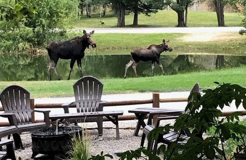 Idaho Falls Cabin | Marvelous 1-bedroom cabin “Moose”in Ririe