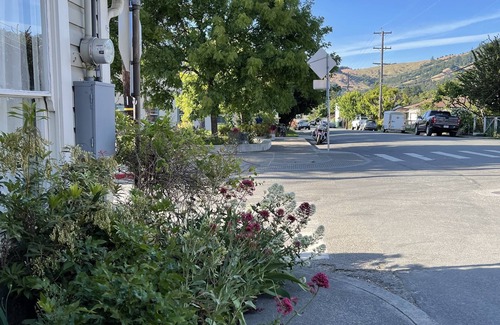 Garberville Cottage | Mary's Place is a historic cottage with private garden in the center of town.