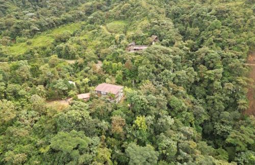 Mashpi Cabin | Mashpi Amagusa Lodge
