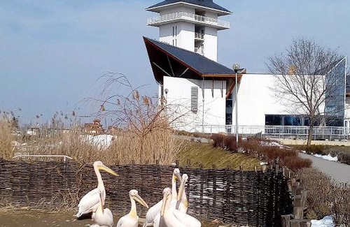 Poroszlo House | Matula vendégház