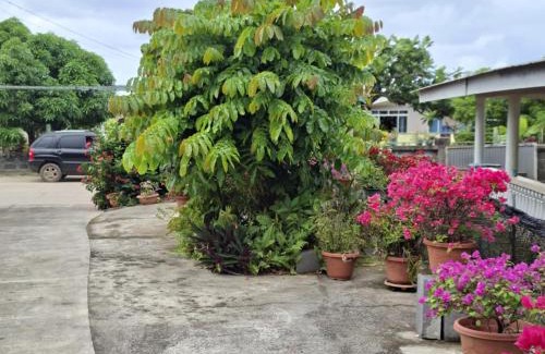 Maupiti House | Maupiti