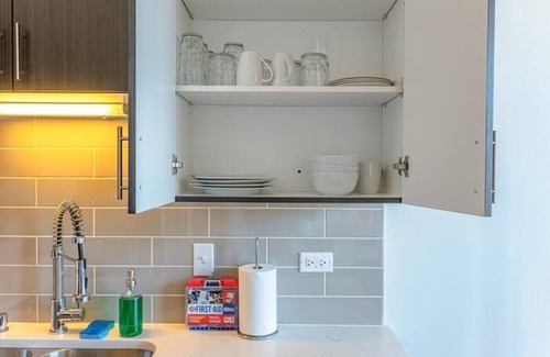 Near South Side Apartment | McCormick Place Skyline view 2b/2b unit with optional parking for up to 8 guests