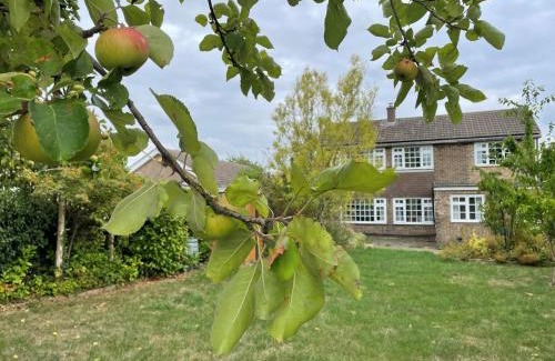 Old Somerby House | Meadow Lark
