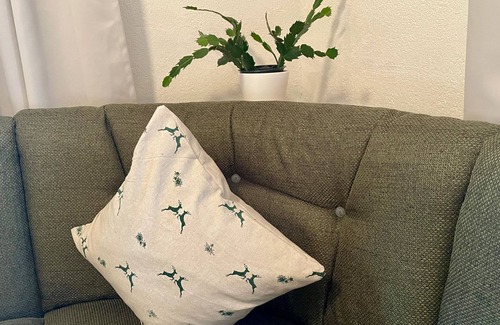 Schattwald Apartment | Mehrbettzimmer - Gästehaus Holl