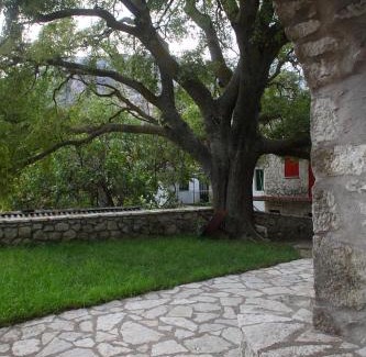 Platistoma House | Menelia Cottage