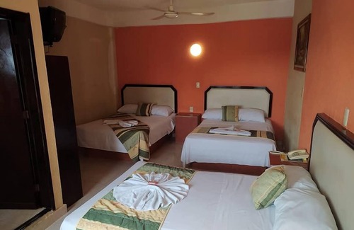 Zona Centro Hotel | Merida D3
