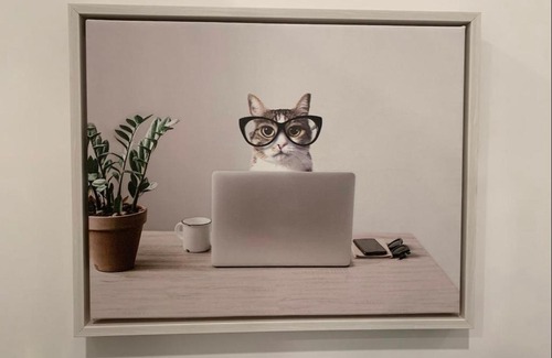 Pittsburg House | Micro Apartment