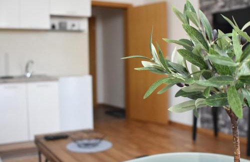 Soko Banja Apartment | Millenium apartment