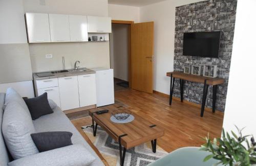Soko Banja Apartment | Millenium apartment