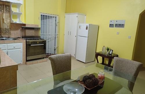 Morne Fortune Apartment | Millennium View Villa - Castries