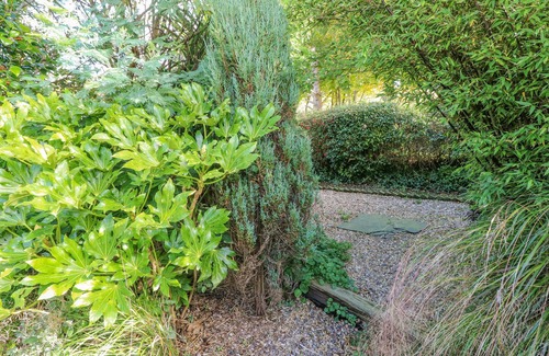 Goodwick Cottage | MIN Y FFORDD, pet friendly, character holiday cottage in Mathry