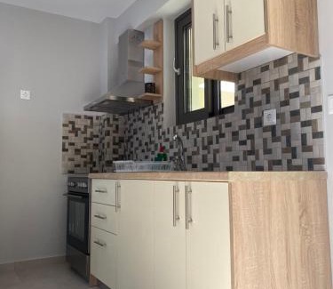 Kefalonia Apartment | Mirovigli Family rooms