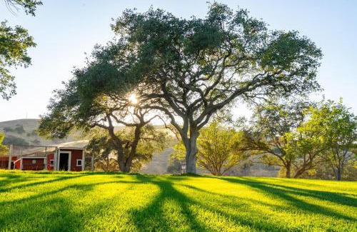 Paso Robles House | Mission de los Robles