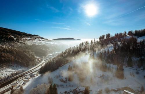 Vrchlabi Apartment | Mlýn Herlíkovice