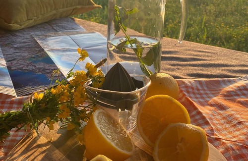 Podgorica House | Mobile Home - Alpha Campers Montenegro - Our Red Westfalia Bus