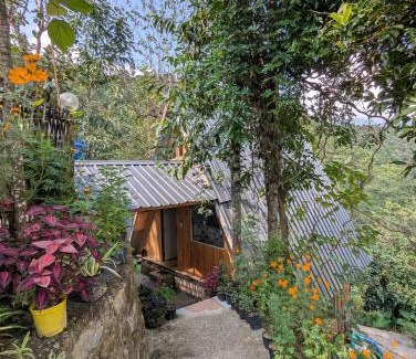 Geyzing House | Mochileros Cherry Tree House