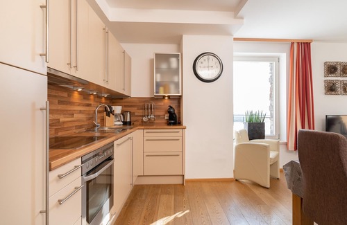 Viehhofen Apartment | Modern apartment with enclosed garden