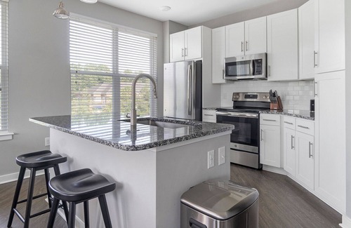 Chapel Hill Apartment | Modern Apartment in Prime Location (ID9769X99)